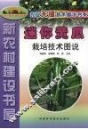 迷你黄瓜栽培技术图说
