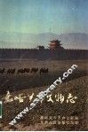 嘉峪关市文物志