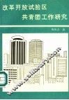 改革开放试验区共青团工作研究