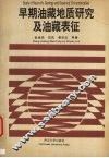 早期油藏地质研究及油藏表征