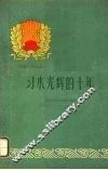 习水光辉的十年