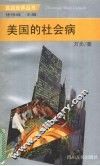美国的社会病