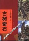 古树奇石