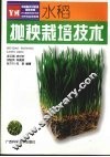 水稻抛秧栽培技术