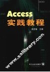 Access实践教程
