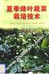 夏季绿叶蔬菜栽培技术