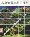 水草造景与养护技艺