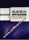浅表器官超声动态图鉴