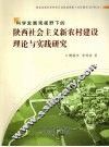 科学发展观视野下的陕西社会主义新农村建设理论与实践研究
