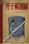 男子解剖图