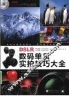 DSLR数码单反实拍技巧大全