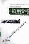 公共项目绩效评价