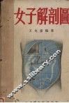 女子解剖图