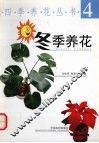 冬季养花