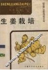 生姜栽培