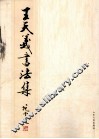 王天义书法集