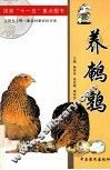 养鹌鹑