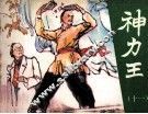 神力王  11