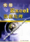 实用Excel数据处理