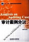 审计案例分析