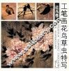 工笔画花鸟草虫特写  花鸟卷