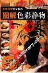 图解色彩静物