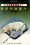 高效养猪技术