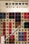 青少年钢笔字帖