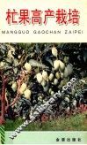 杧果高产栽培