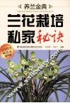 养兰金典  兰花栽培私家秘诀
