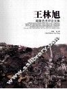 王林旭超象艺术评论文集