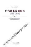 广东商务发展报告  2013-2014