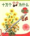 十万个小小为什么  植物