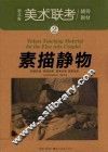 美术联考辅导教材  素描静物
