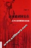 山河破碎国安在  从中日史料解读东北抗战