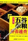 五谷杂粮补养速查