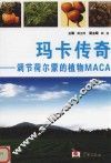 玛卡传奇