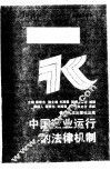 中国企业运行的法律机制
