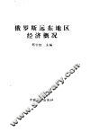 俄罗斯远东地区经济概况