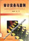 审计实务与案例