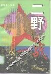 二野最后一战