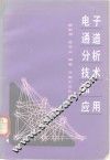电子通道分析技术和应用