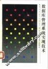 数据库管理系统实现技术