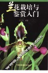 兰花栽培与鉴赏入门