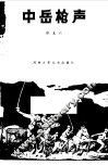 中岳枪声