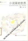 小说家的世界