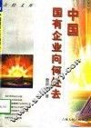中国国有企业向何处去