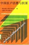 中国农户消费与积累