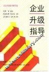 企业升级指导