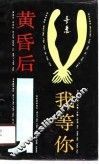 黄昏后我等你